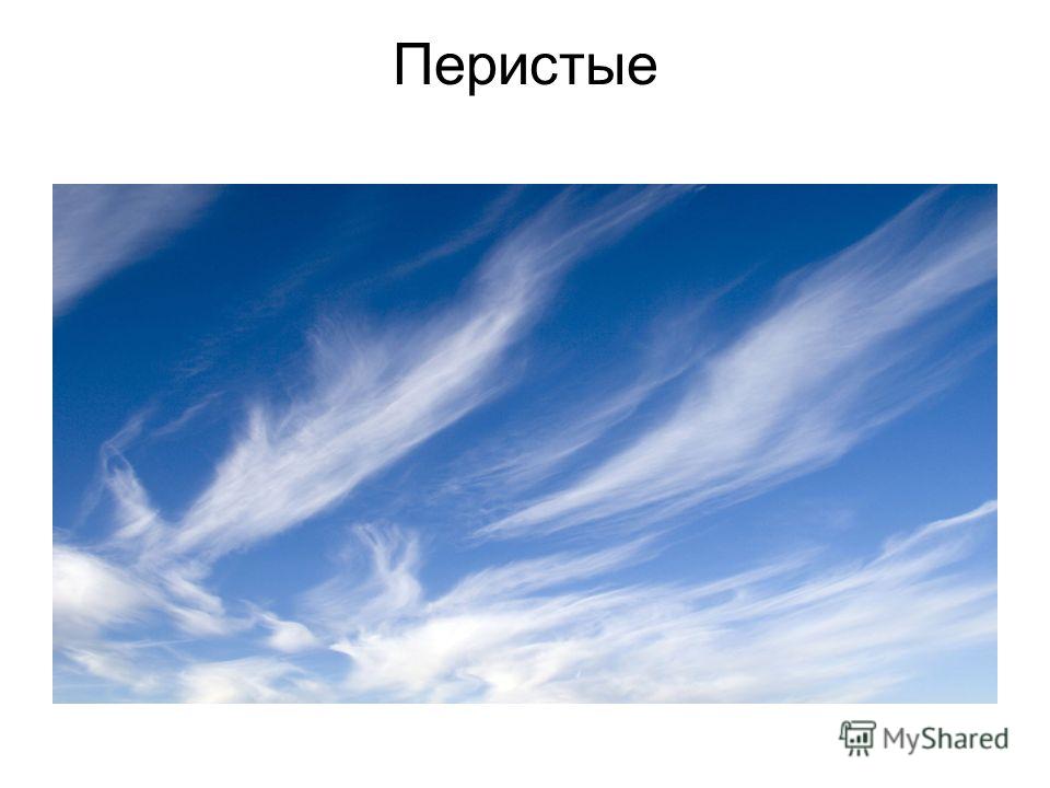 Звездное небо с созвездиями Звездное небо с созвездиями