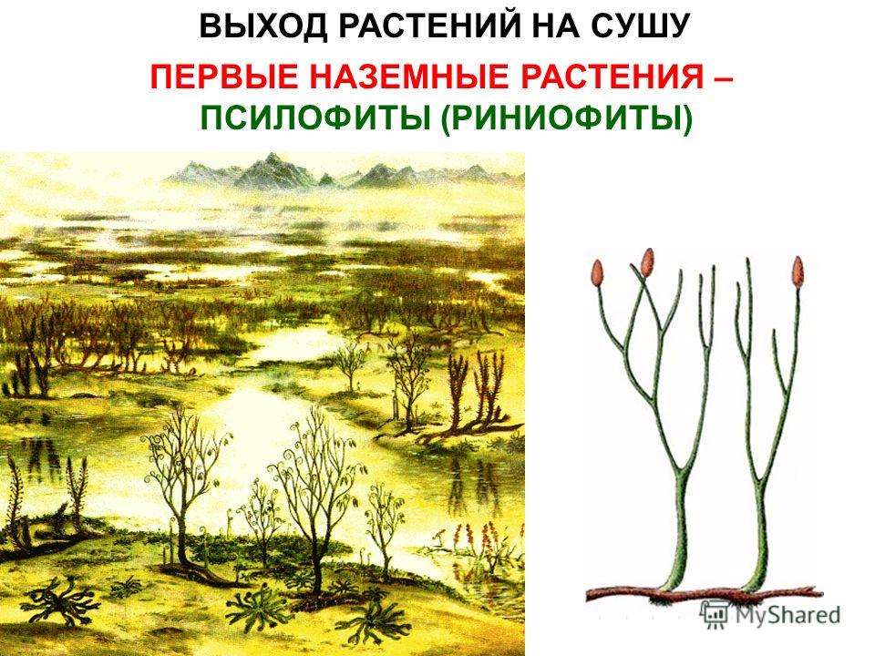 1 5 НА 2 ИХ 1 5 на 2 их: