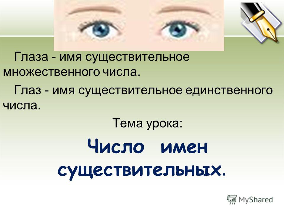 Брюки число множественное