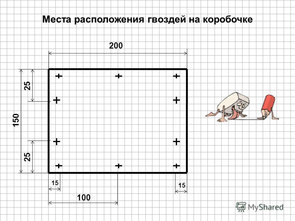 Рабочая программа по биологии 9 класс