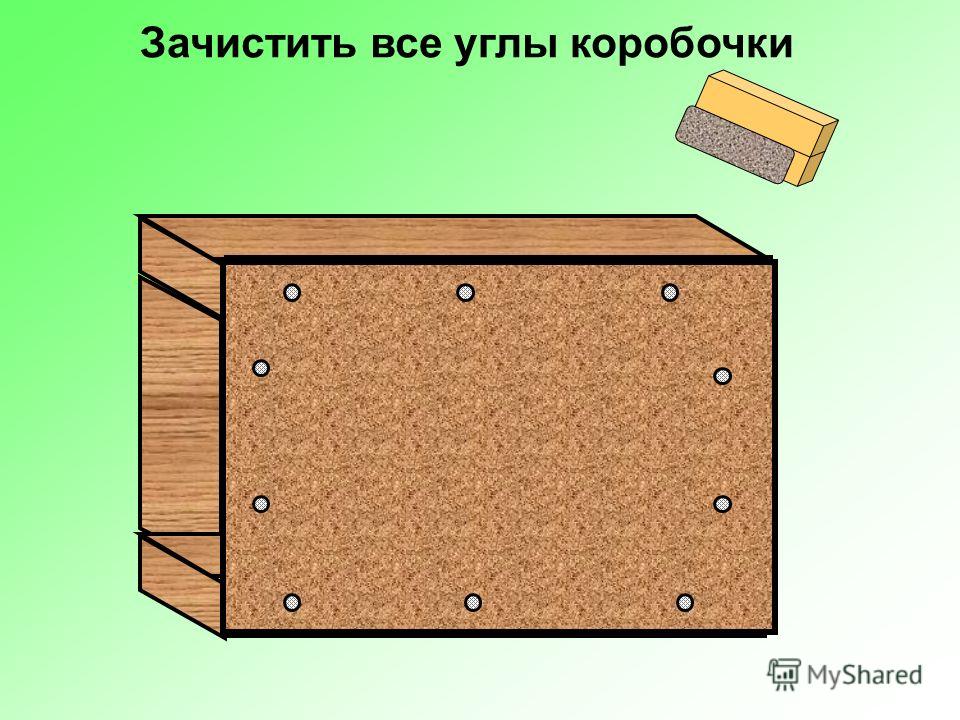 Билет 1 биология 9 класс