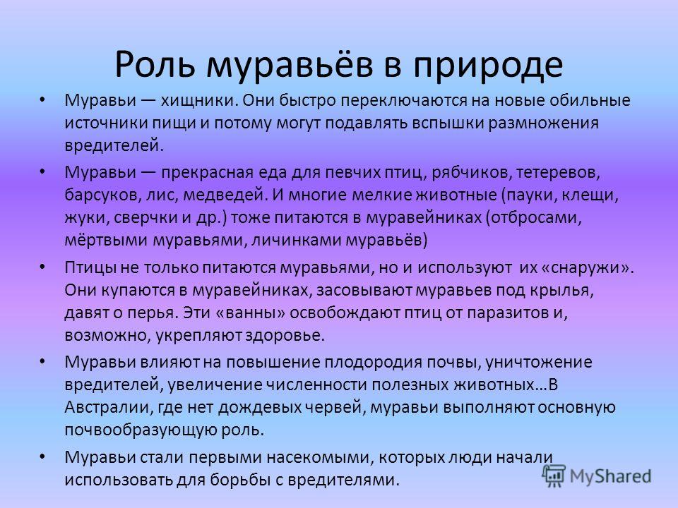 роль паразитов в природе и жизни человека роль паразитов в природе и жизни человека