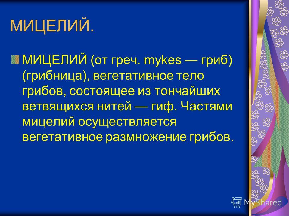 одноклеточные паразиты в теле человека одноклеточные паразиты в теле человека