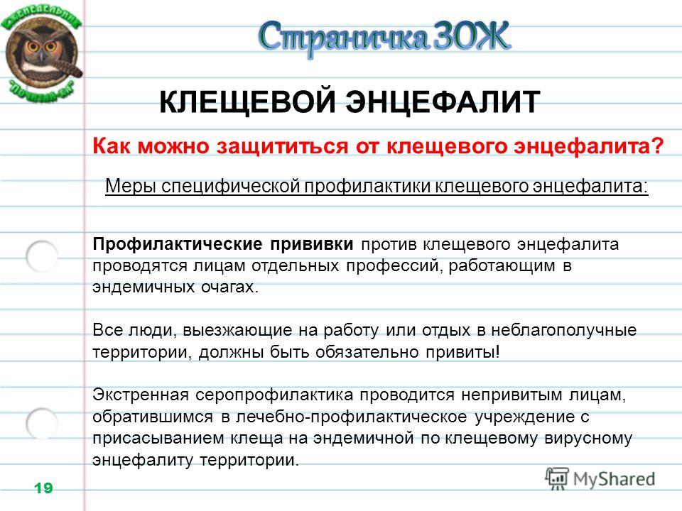Как сделать ворот на рубашке Как сделать ворот на рубашке