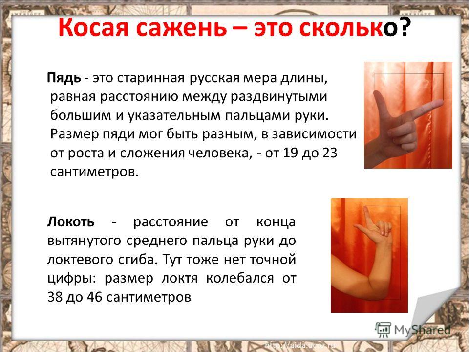 Пословиц и поговорок аршин Пословиц и поговорок аршин