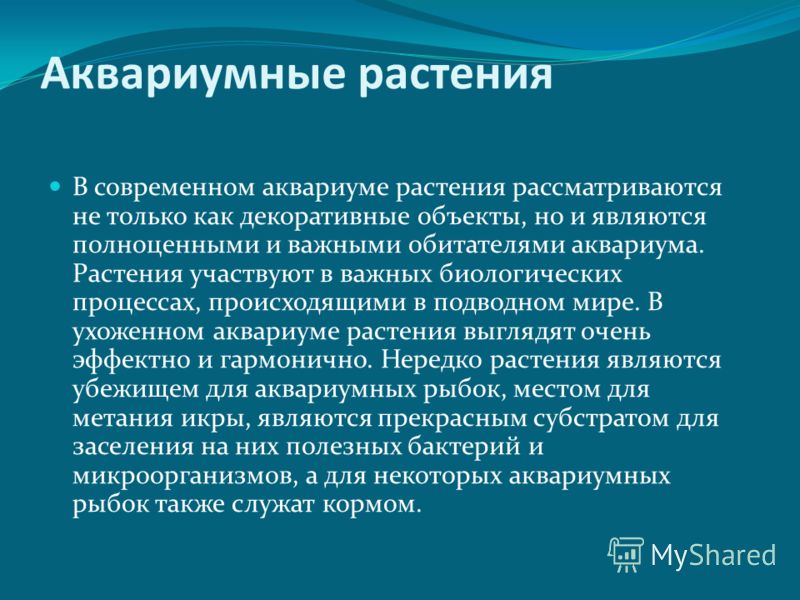 Аквариумные растения В современном аквариуме растения рассматриваются не только как декоративные объекты, но и являются полноценными и важными обитате