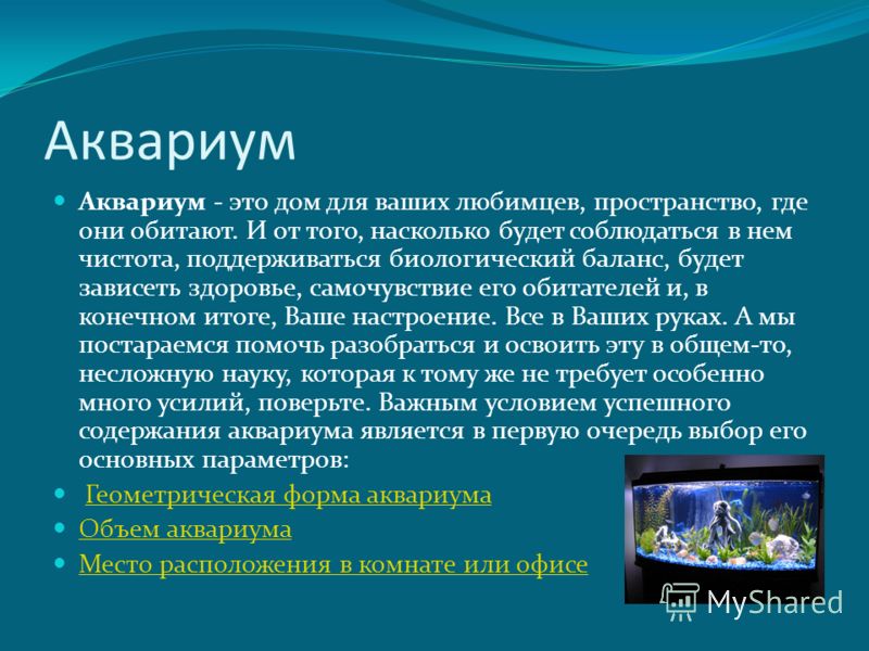 Аквариум Аквариум - это дом для ваших любимцев, пространство, где они обитают. И от того, насколько будет соблюдаться в нем чистота, поддерживаться би