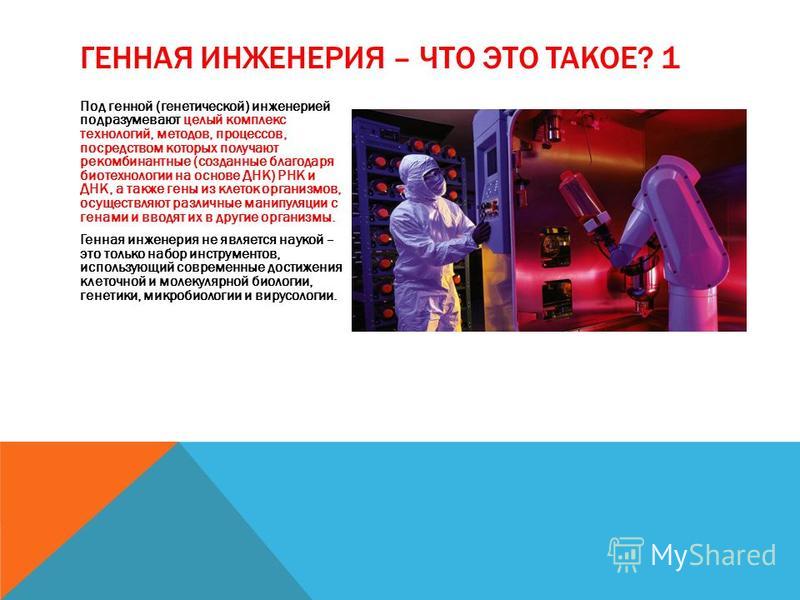 Презентация лятошинские животные