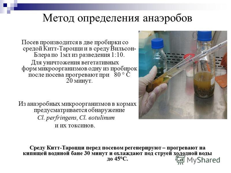 Анаэробный посев что это Анаэробный посев что это