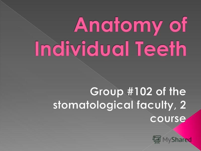 www.enchantedlearning.com subjects anatomy teeth toothanatomy.shtml
