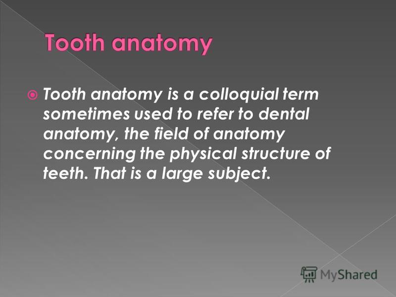 Tooth anatomy is a colloquial term sometimes used to refer to dental anatomy, the field of anatomy concerning the physical structure of teeth. That is a large subject.