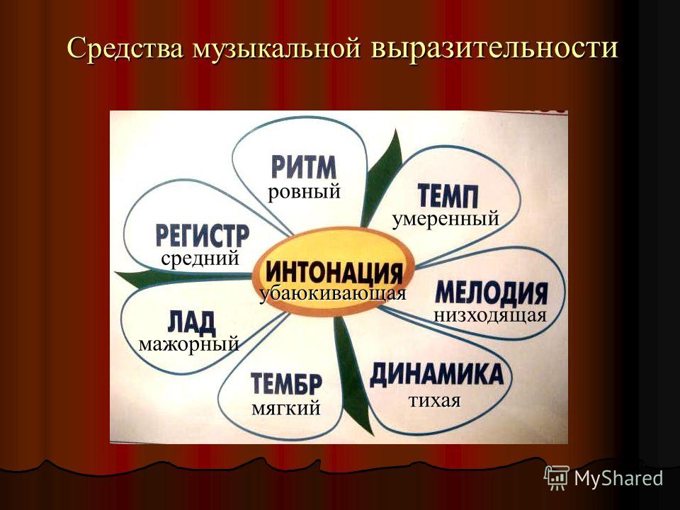 Похороны какой цветок Похороны какой цветок