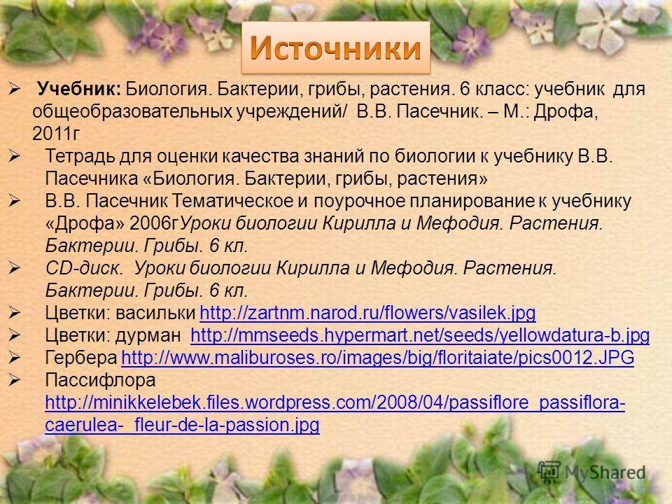 Васильки цветок строение Васильки цветок строение