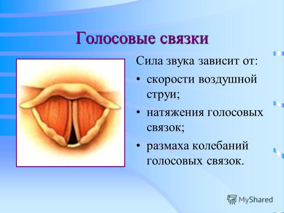 Как вылечит голосовые связки в домашних условиях Как вылечит голосовые связки в домашних условиях