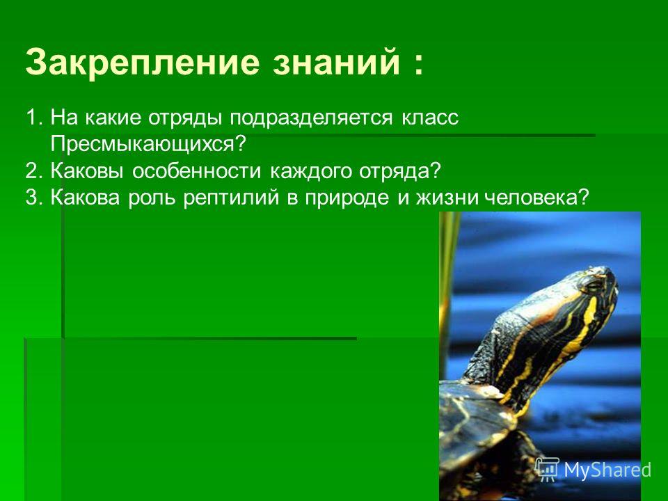 Биология 7 Класс Сонин скачать