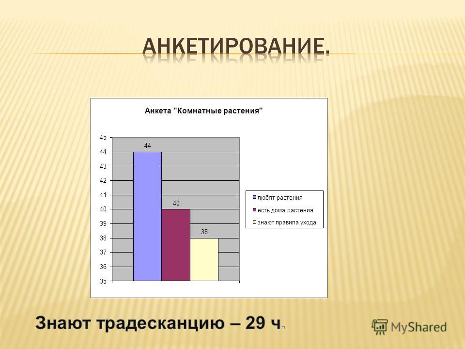 Алгебра 9 класс подготовка