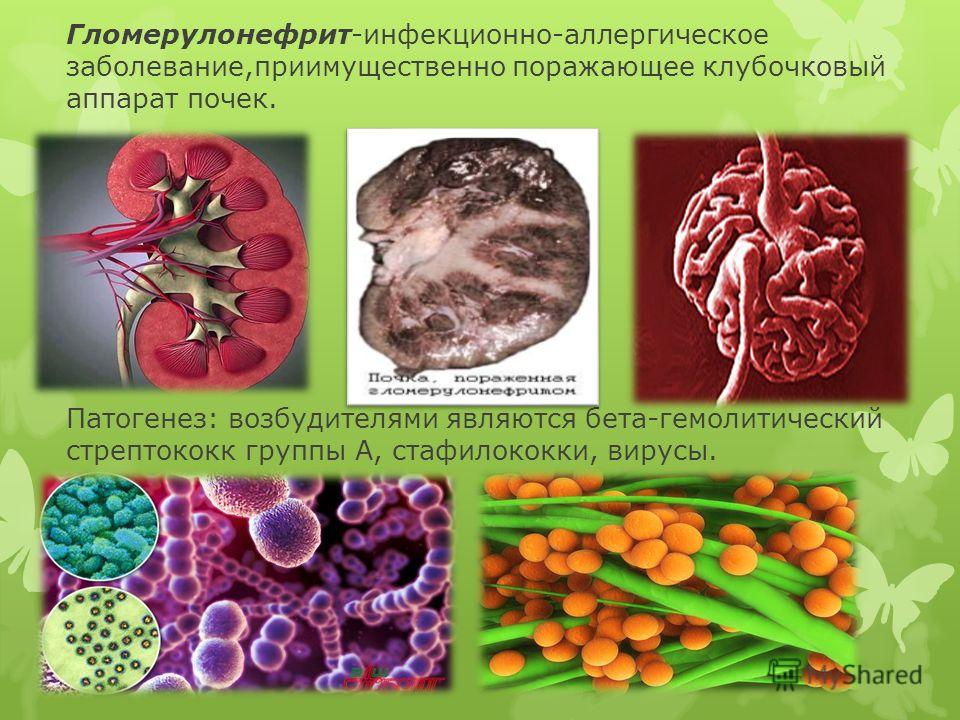 Чем лечить стригущий лишай у человека фото лишая