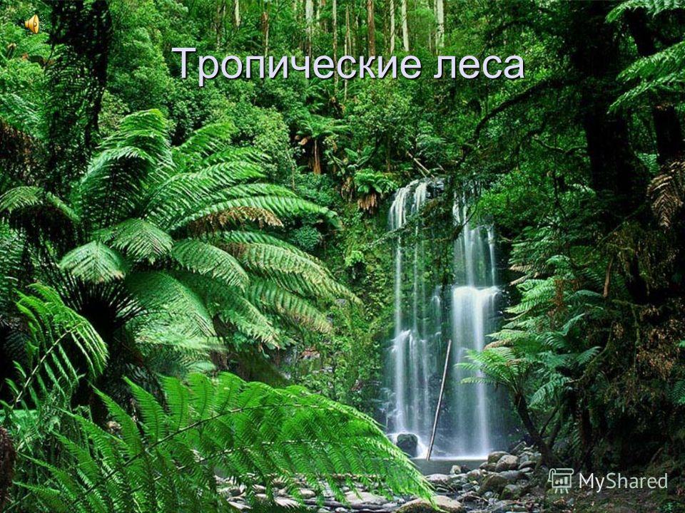 Интернетта татарча онлайн-сзлеклр Ваза из бумаги своими руками оригами схема - Все лучшее у нас