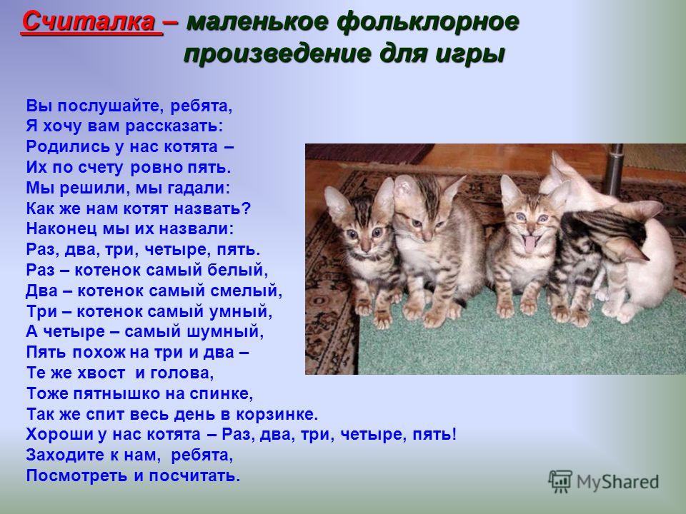 Вы послушайте, ребята, Я хочу вам рассказать: Родились у нас котята – Их по счету ровно пять. Мы решили, мы гадали: Как же нам котят назвать? Наконец 