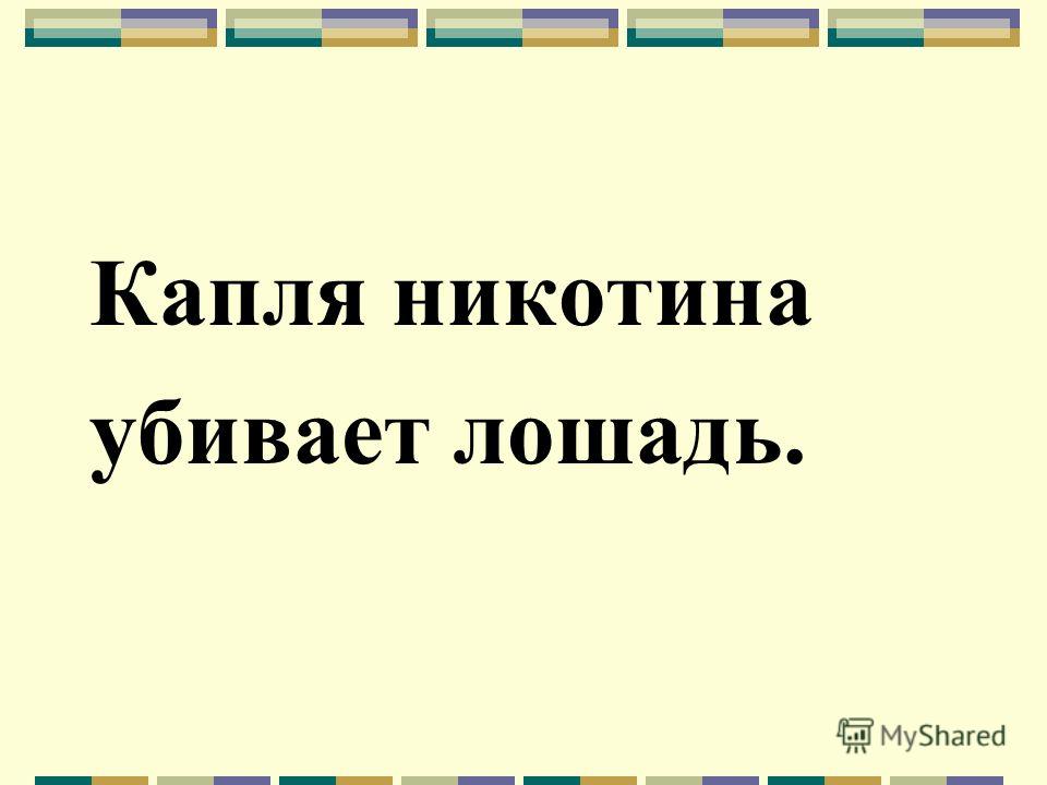 Капля никотина убивает лошадь.