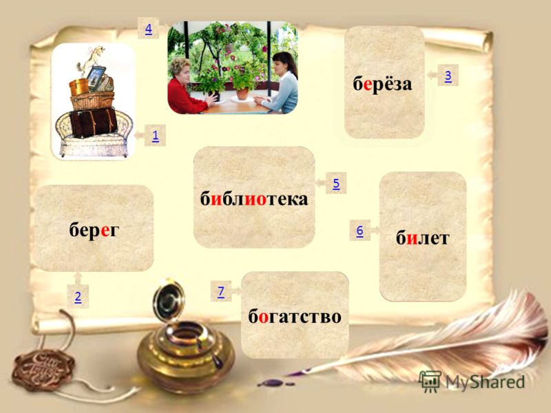 Ветеринарная клиника багира отзывы ростов-на-дону