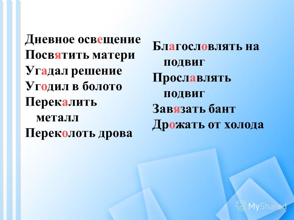 Цветы проверочное слово цветок Цветы проверочное слово цветок