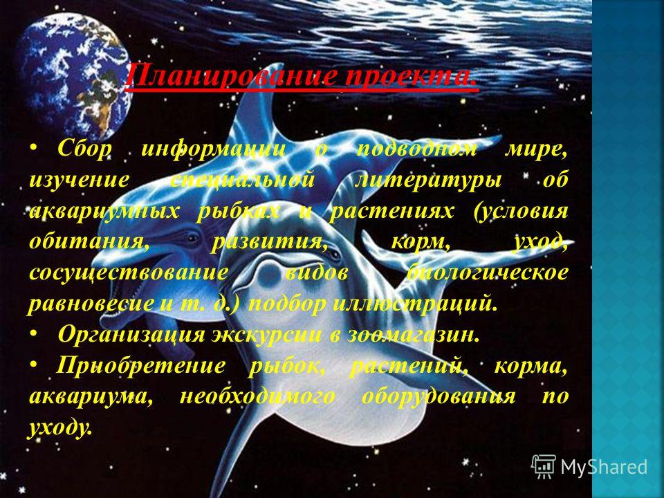 Организация художественных конкурс Организация художественных конкурс