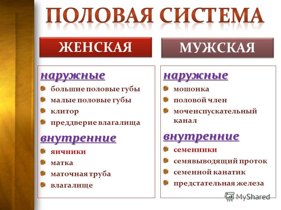 Пирсинг клитор половые губы