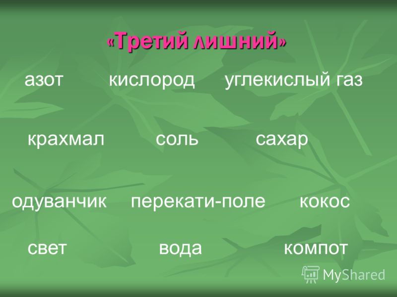S T L K E R s t l k e r: