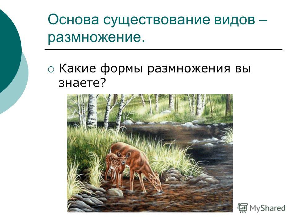 Мода и трендыМодный маникюр осень 2019 в 2019 году Мода и трендыМодный маникюр осень 2019 в 2019 году