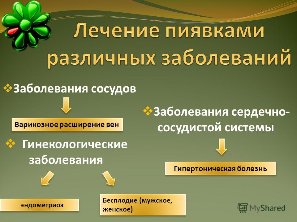 Презентация На Тему Гирудотерапия Презентация На Тему Гирудотерапия