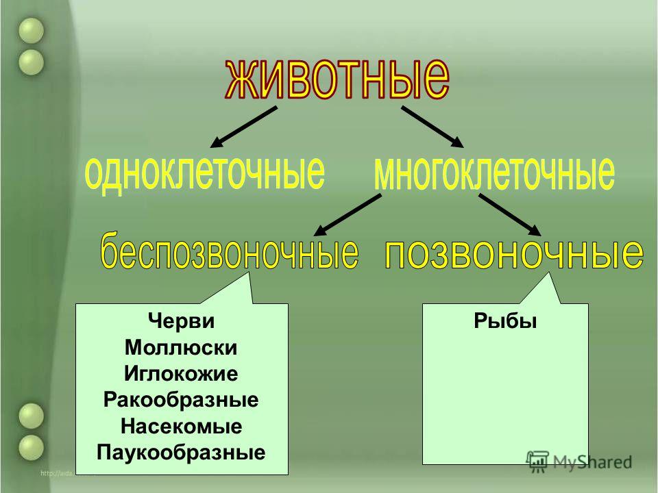 Информатика угринович 8 класс