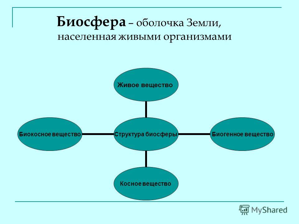Презентация На Тему Каменный Век Презентация На Тему Каменный Век