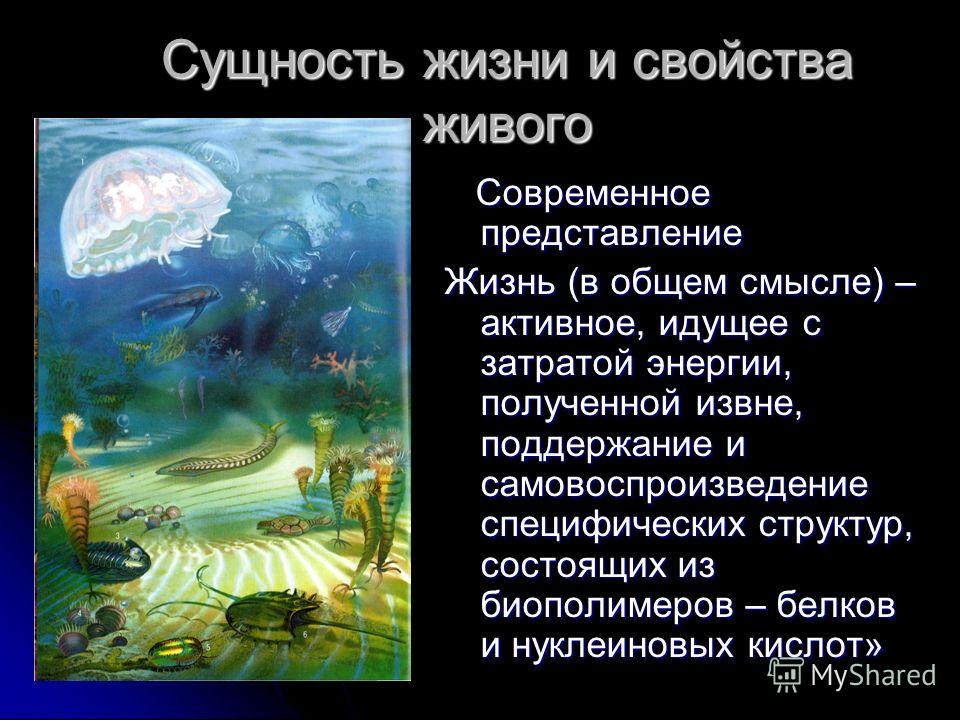 для microsoft дыхание богов