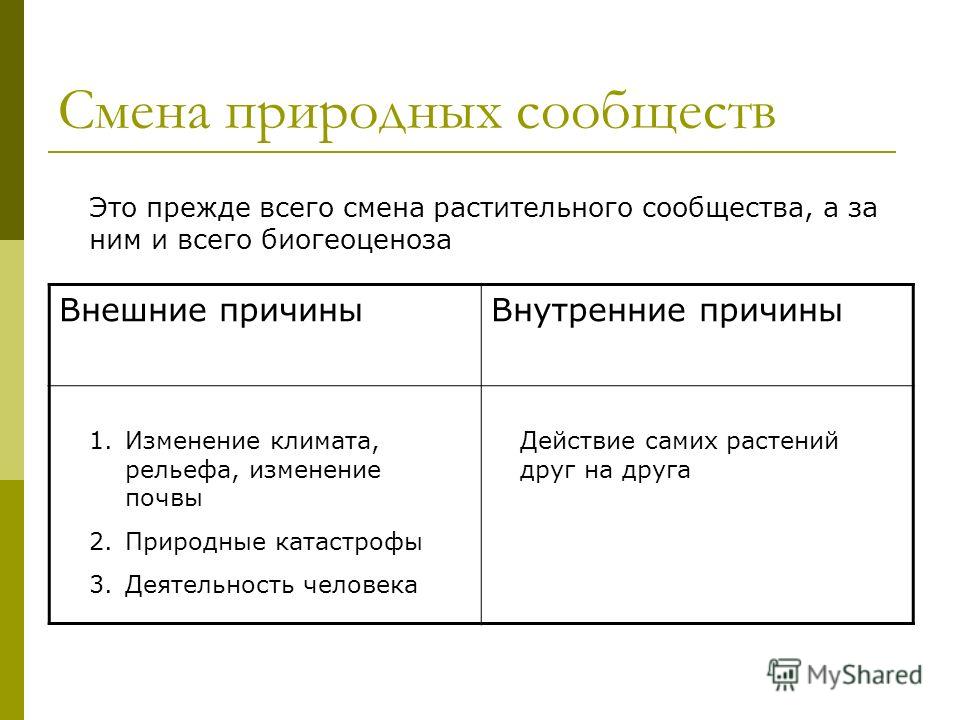 Поле Искусственное Сообщество Поле Искусственное Сообщество