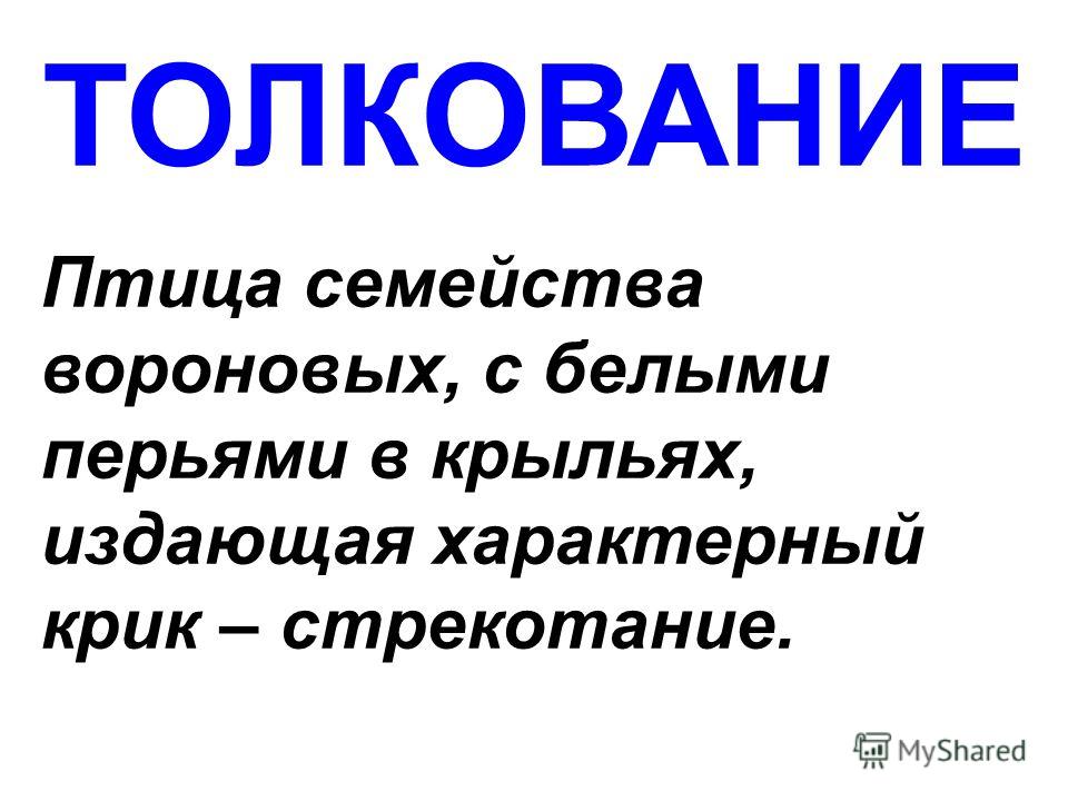 Днём спит ночью не спит Днём спит ночью не спит