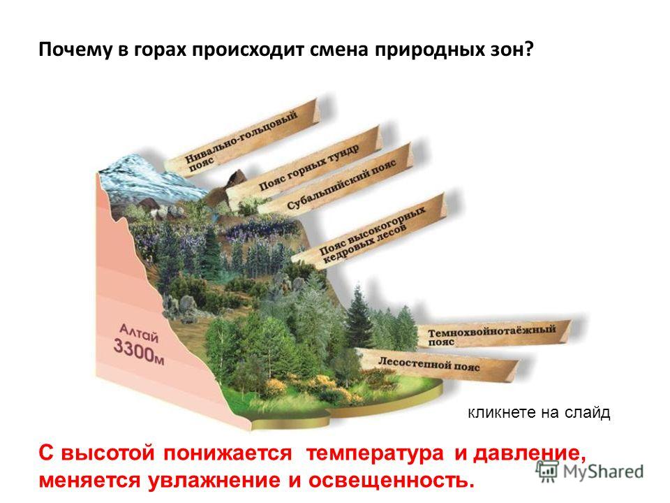 Прогноз погоды ярославль на 14 дней гисметео