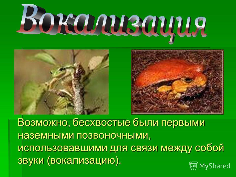 Конкурс по теме насекомые Конкурс по теме насекомые