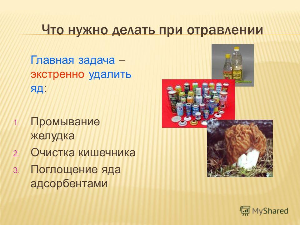 очистка желудка от паразитов очистка желудка от паразитов