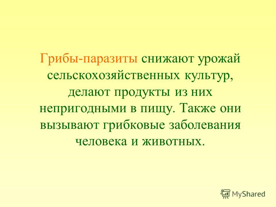 грибы паразиты в жизни человека грибы паразиты в жизни человека