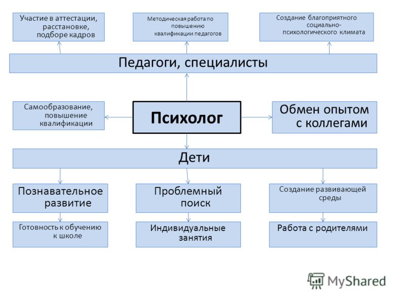 Тропа здоровья на улице в детском саду фото 4