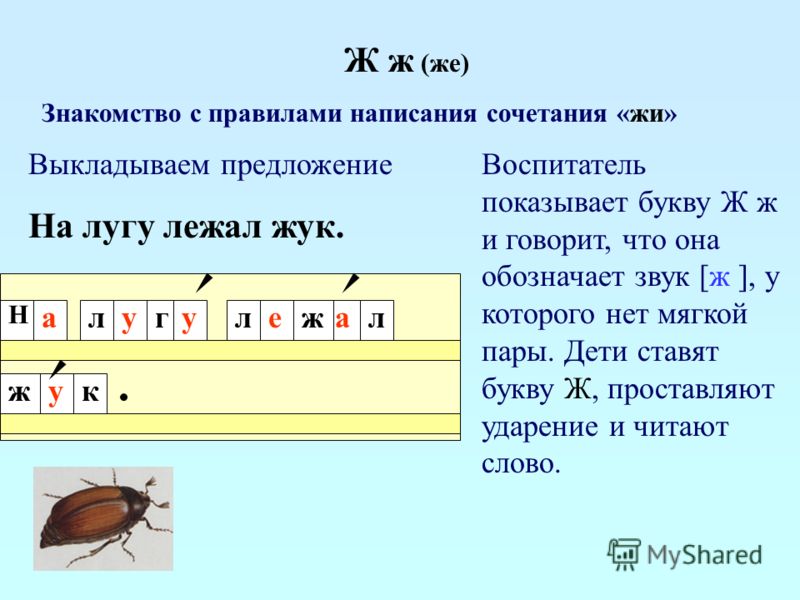 как убрать мягкий жир с живота как убрать мягкий жир с живота