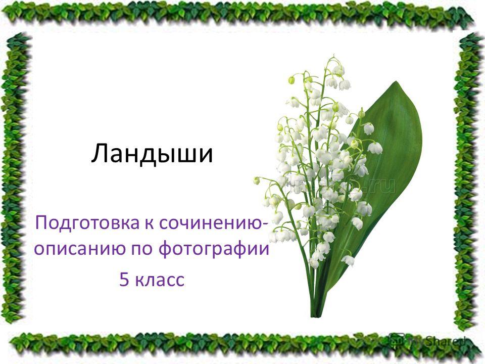 презентация на тему этимология 6 класс скачать