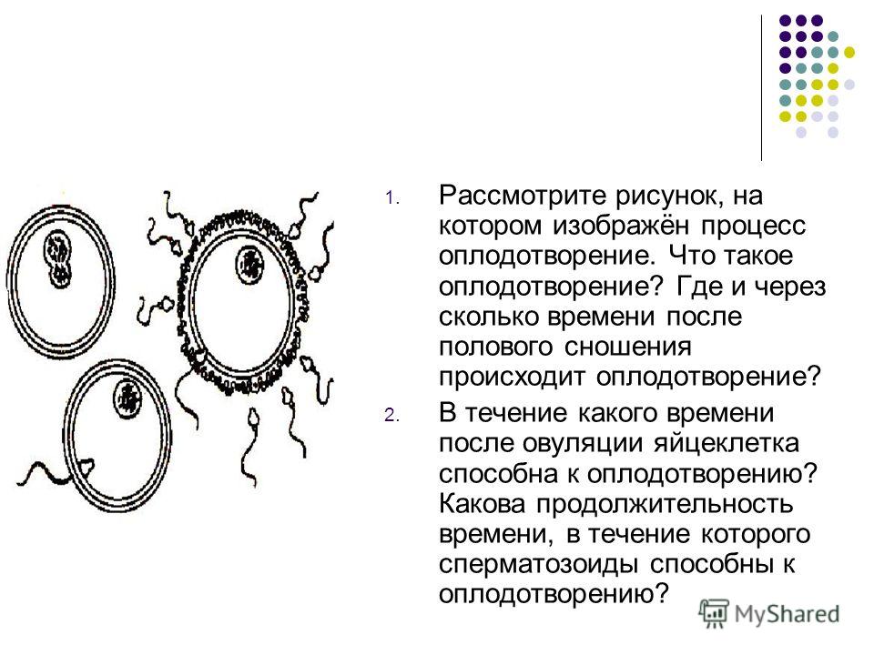 Рисунок на тему алкоголя Рисунок на тему алкоголя