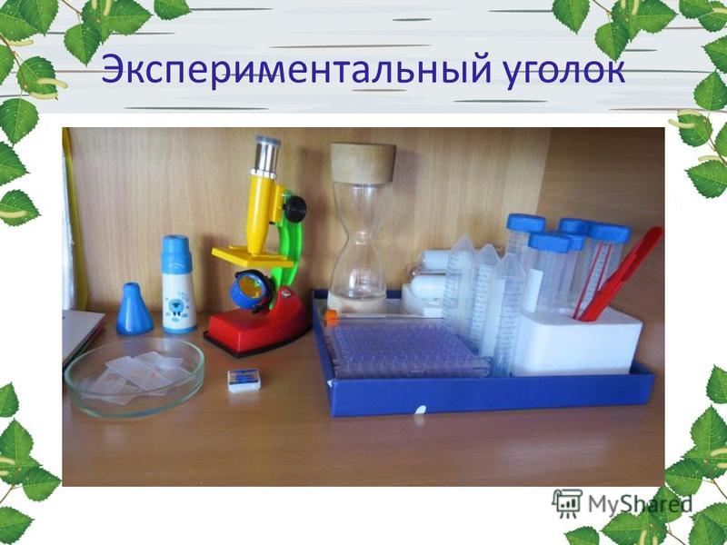Проект экспериментальная деятельность в средней группе