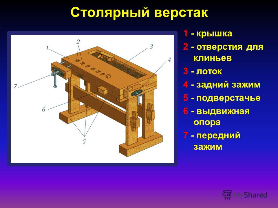 Незвичайні пригоді алі читати