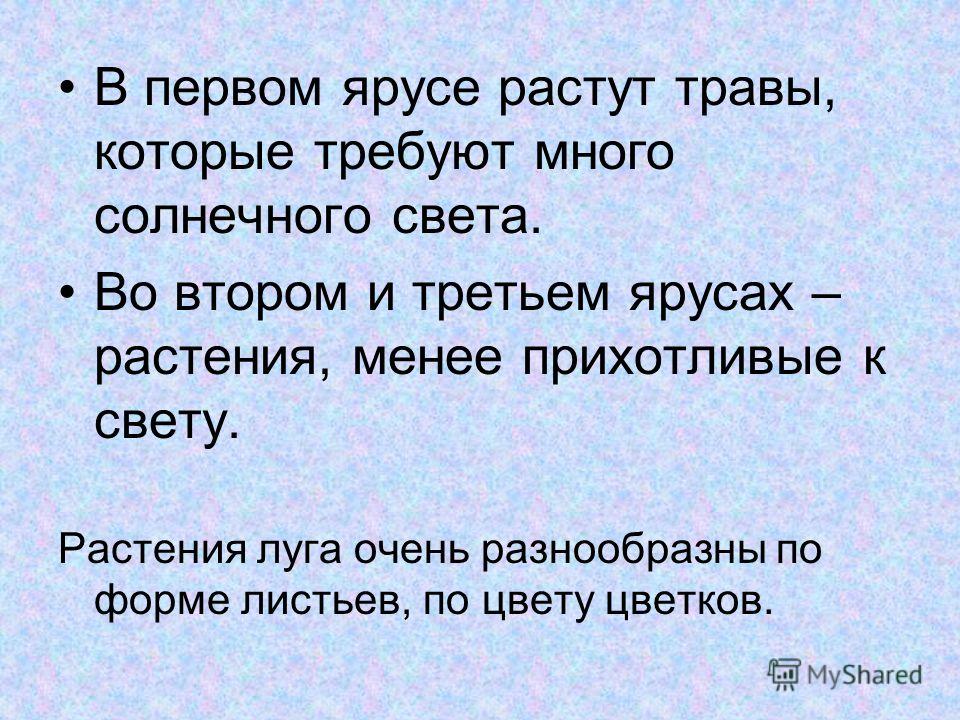 Цветы которые растут без солнечного света Цветы которые растут без солнечного света