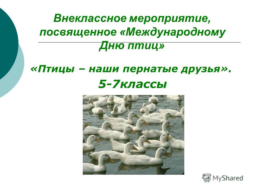 Открытки своими руками на день рождения или в Купить кофейные чашки в подарок - Миллион Подарков