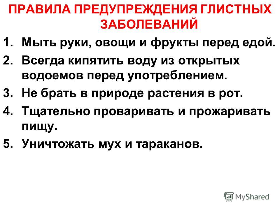 ПРАВИЛА ПРЕДУПРЕЖДЕНИЯ ГЛИСТНЫХ ЗАБОЛЕВАНИЙ 1.Мыть руки, овощи и фрукты перед едой. 2.Всегда кипятить воду из открытых водоемов перед употреблением. 3