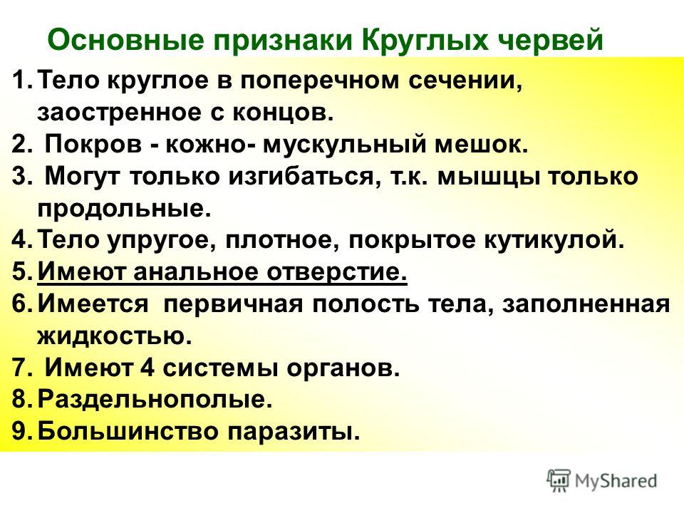 1.Тело круглое в поперечном сечении, заостренное с концов. 2. Покров - кожно- мускульный мешок. 3. Могут только изгибаться, т.к. мышцы только продольн